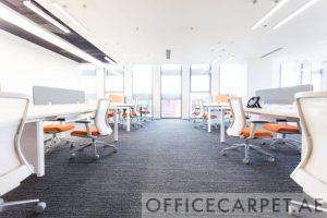 Read more about the article What Are Office Carpets and Their Benefits?